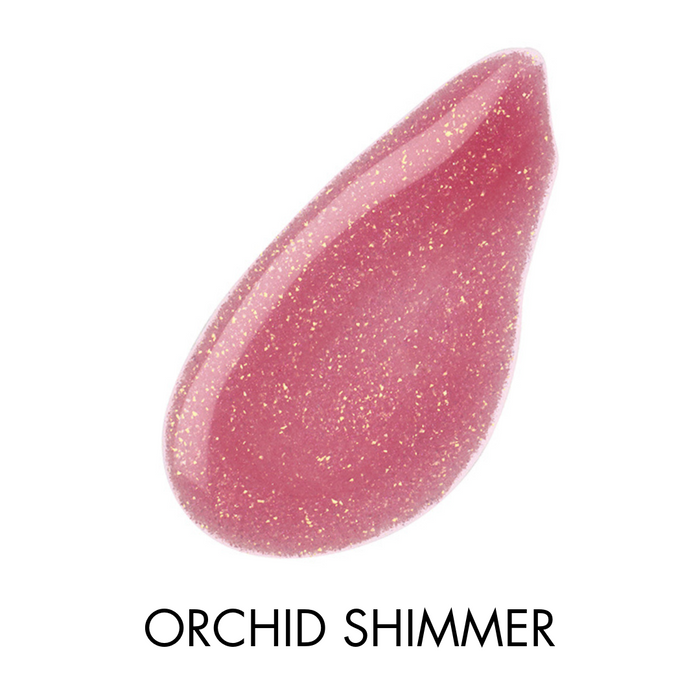 4 Piece Shimmer Lip Gloss Bundle